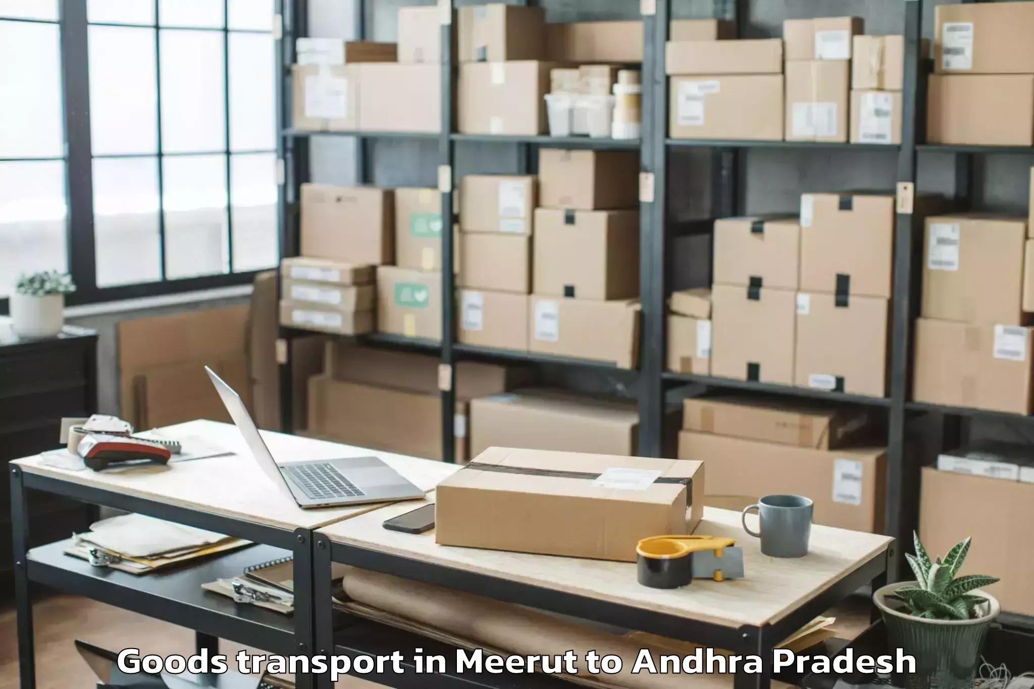 Expert Meerut to Abhilashi University Guntur Goods Transport